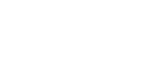 Microsoft Excel logo (white)